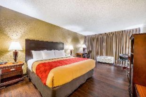 Econo Lodge Corinth image 8